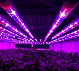 Ledgrowlight, indoorfarmset